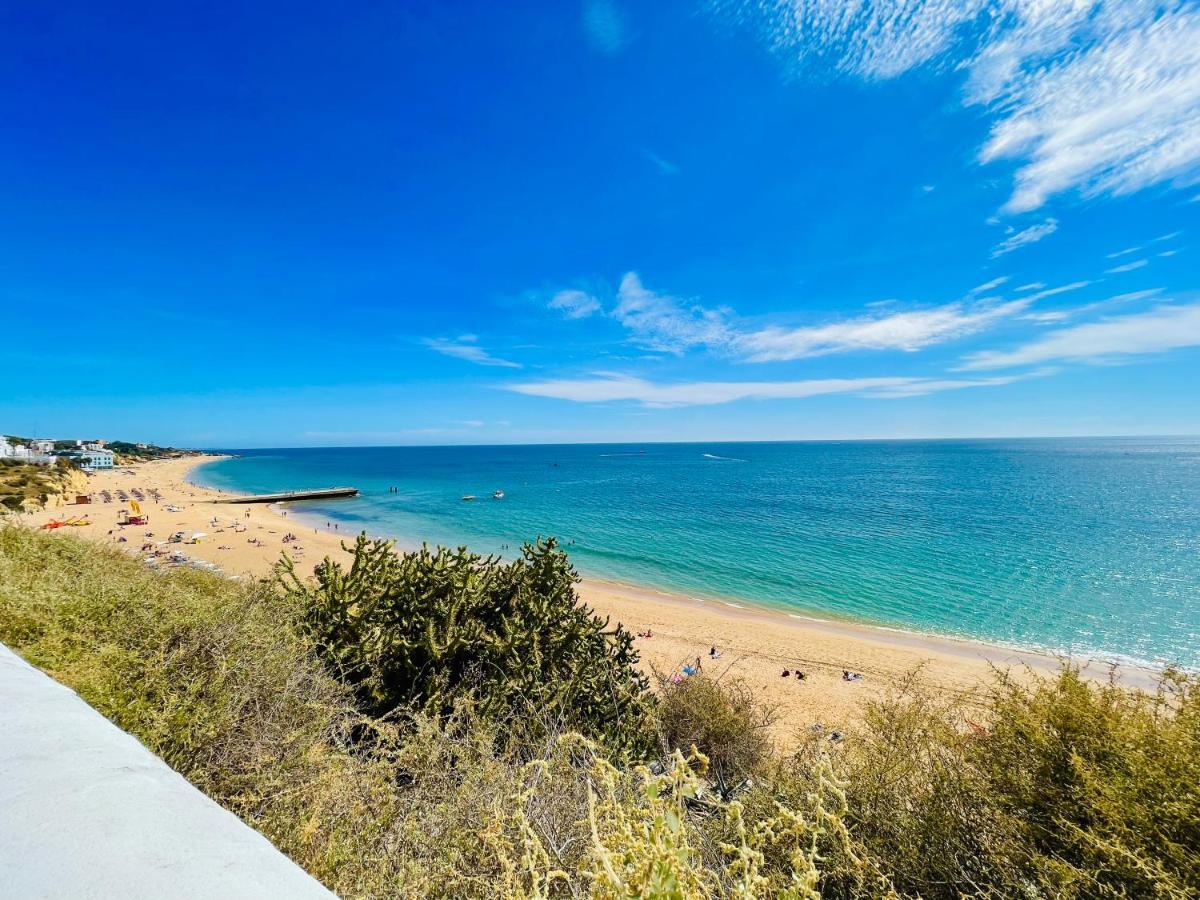 Ocean View Skyline ‚hakuna Matata' Appartement