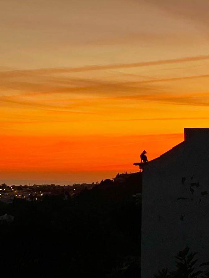 Ocean View Skyline ‚hakuna Matata' Appartement