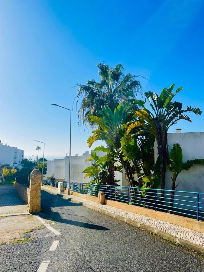 Ocean View Skyline ‚hakuna Matata' Appartement